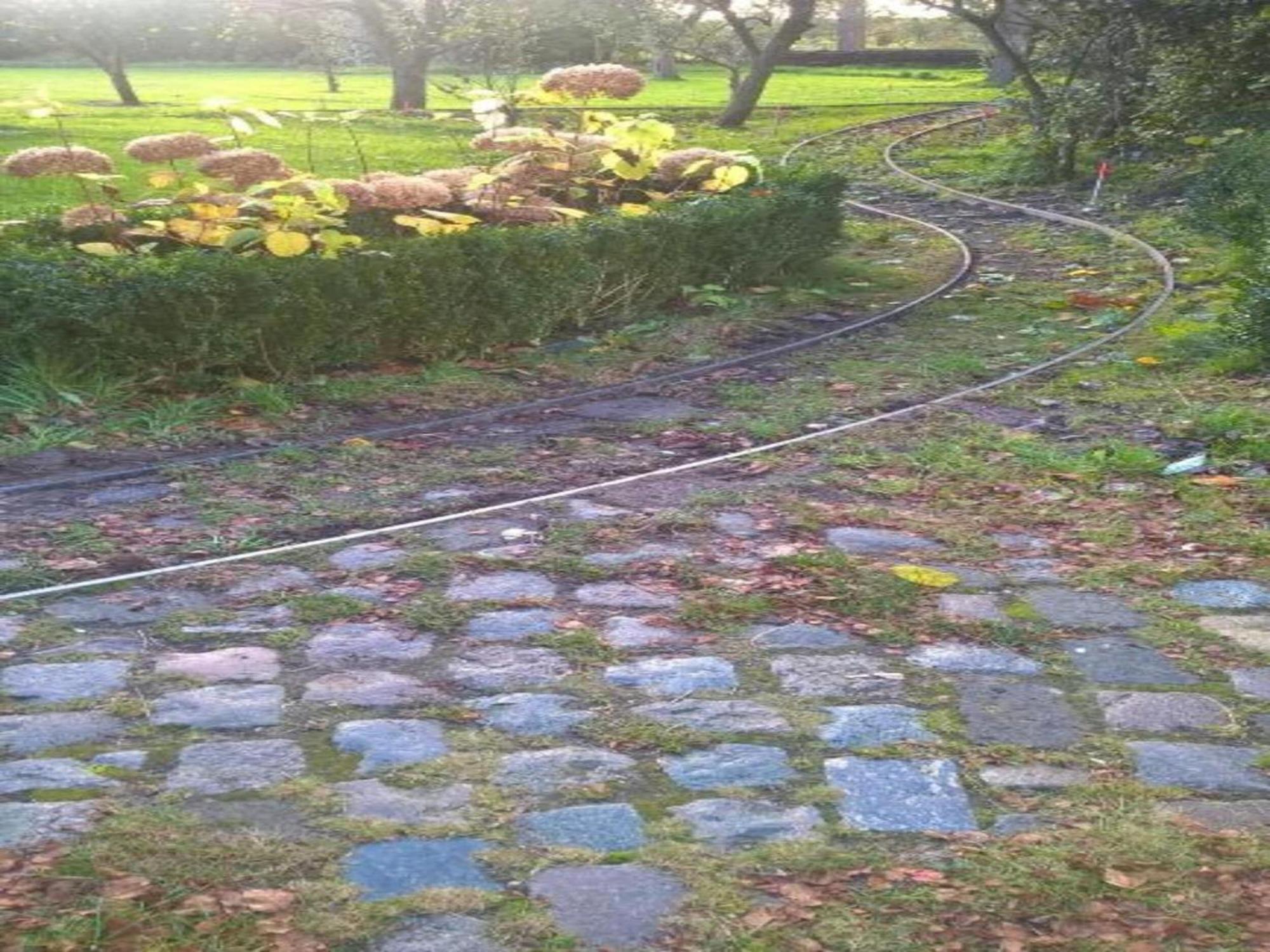Monumental Farm In The Ash Landscape Vila Geesteren  Exterior foto
