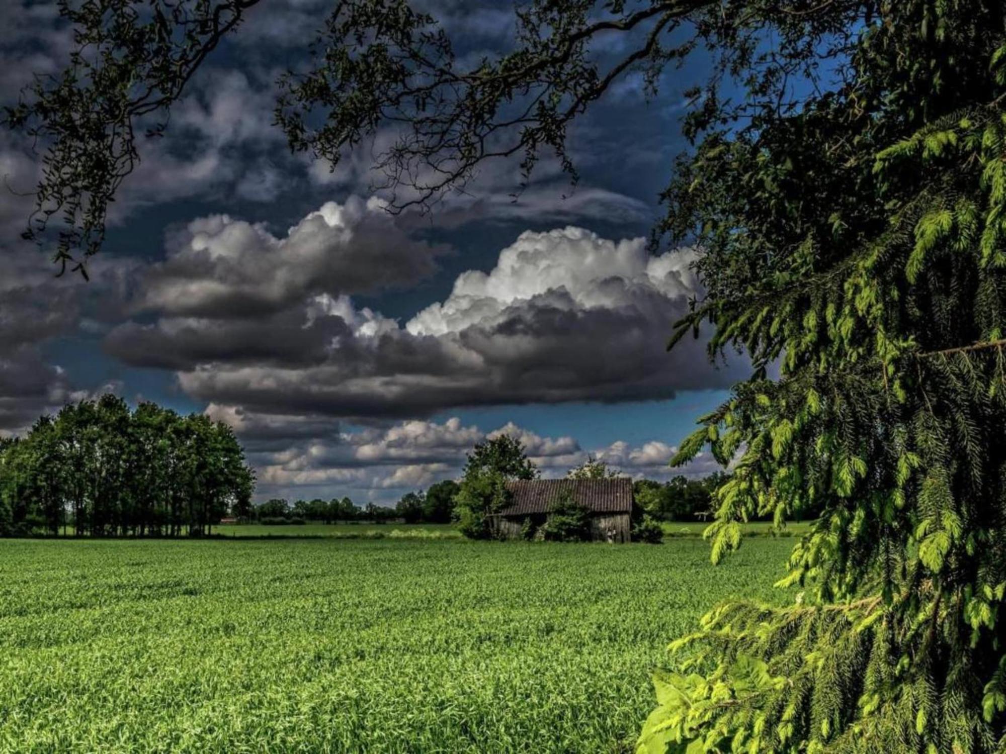 Monumental Farm In The Ash Landscape Vila Geesteren  Exterior foto